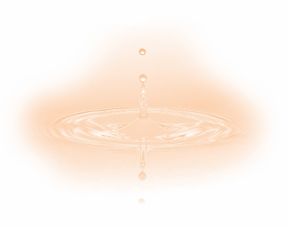 《香蒲记》与阿华诗选 山东文学创作的新标杆